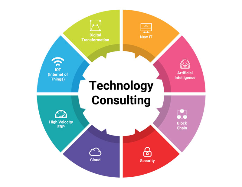 Software Consulting